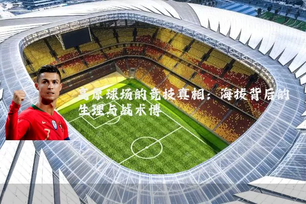高原球场的竞技真相:海拔背后的生理与战术博弈
